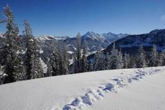 bilder-grafenbergalm_001