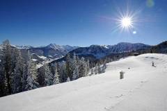 bilder-grafenbergalm_02